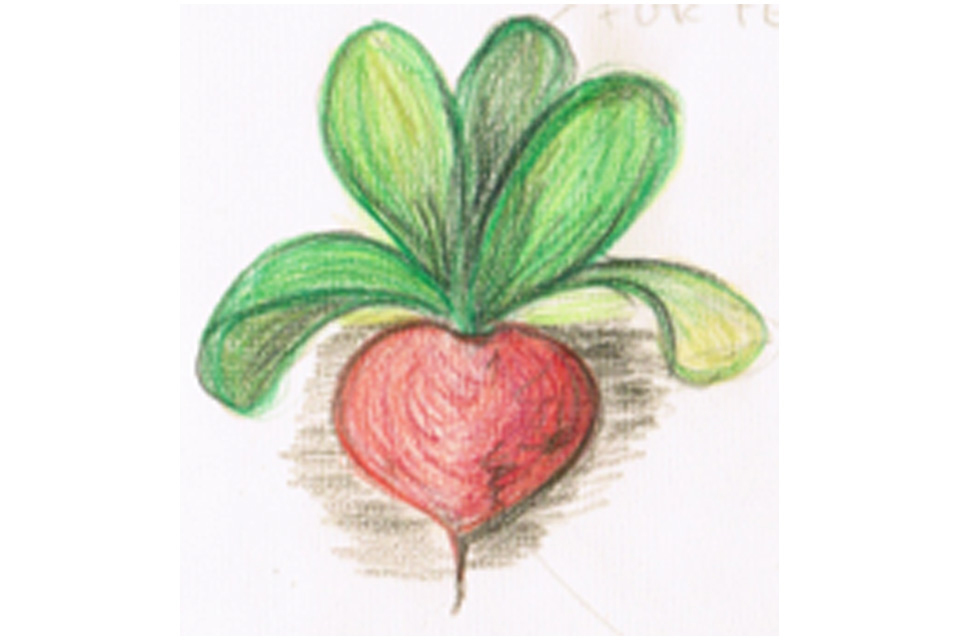 Ernährungsberatung