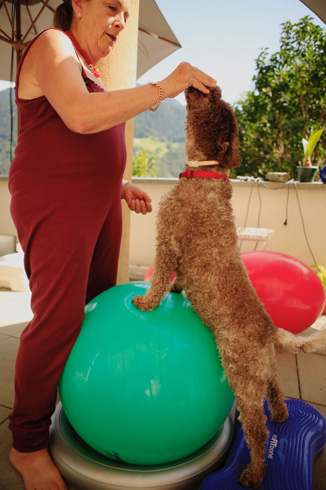 Lagotto Romagnolo